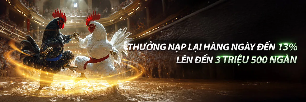 Đá Gà Trực Tuyến trên fu88 App Android
